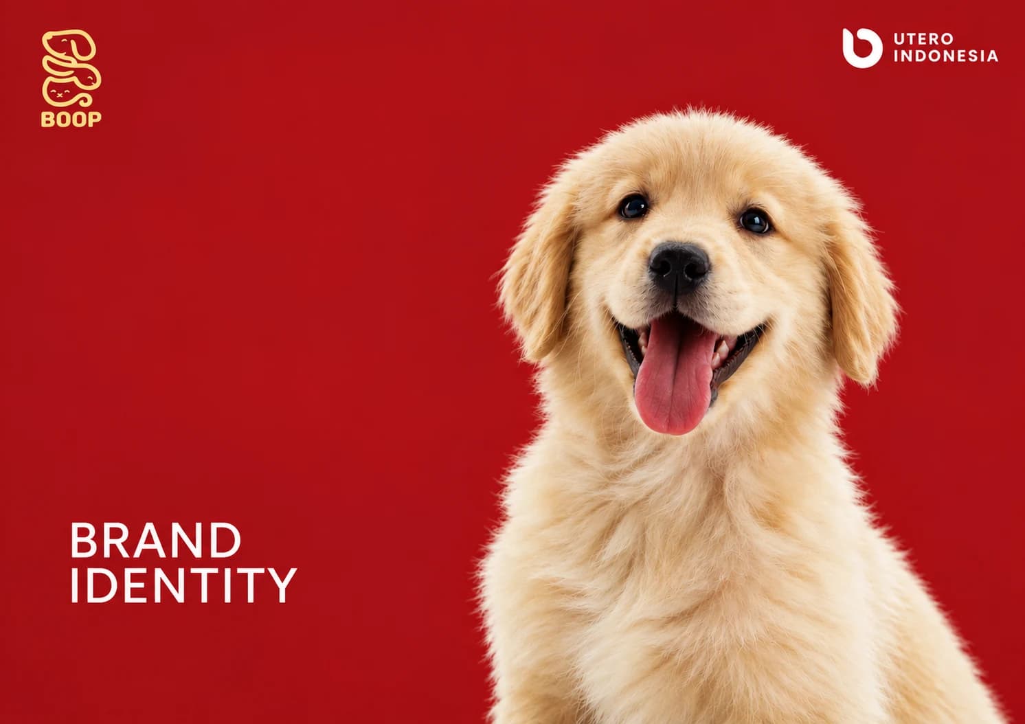 Boop Premium Pet Food — Boop